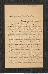 Nachlass Franz Steindachner, Brief von Emilio Ninni an Franz Steindachner (23.10.1911), Inv.Nr. 366.04, Seite 1